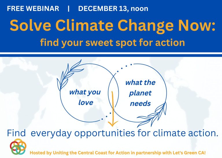 The Recording is Available: December 13 Webinar “Solve Climate Change Now – find your sweet spot for action”